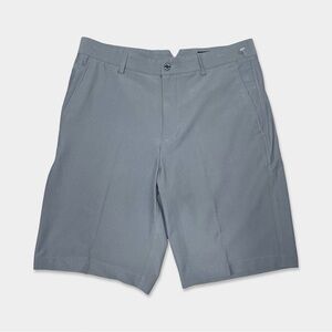 DUNNING Men's Golf Shorts Size 30 Gray Color Machine Washable GUC